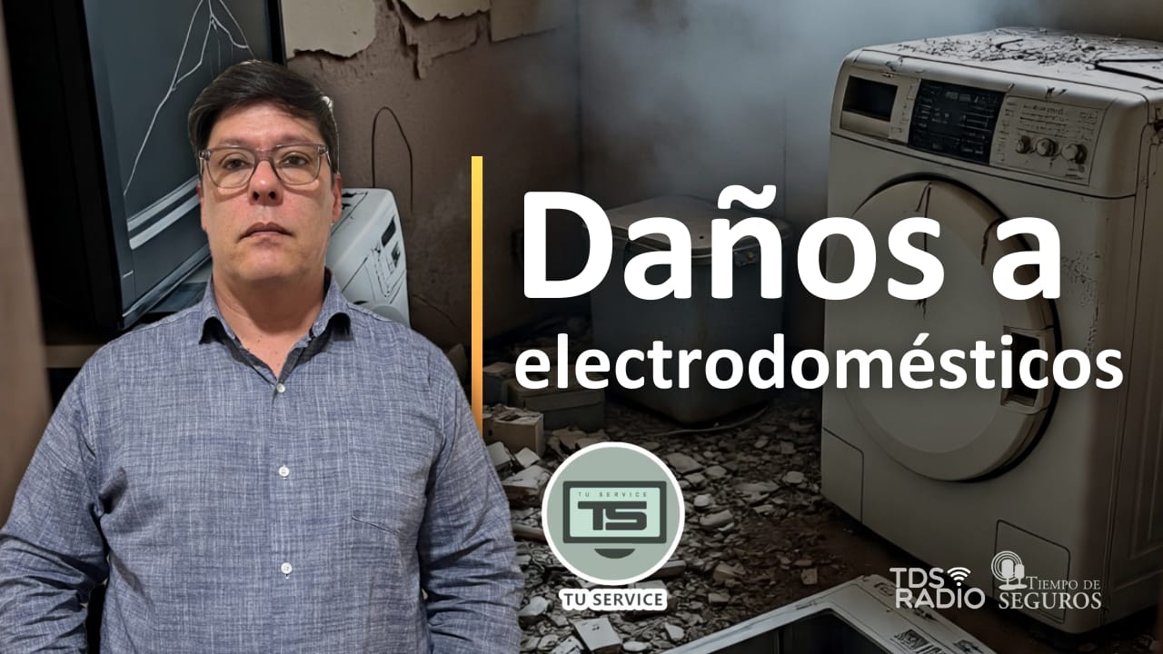 Conversamos con Alejandro Serantes, titular de la firma TU SERVICE SRL, acerca de la siniestralidad en electrodomésticos, para conocer en qué regiones del país está ocurriendo, la tipología, qué pasa con el fraude y más.